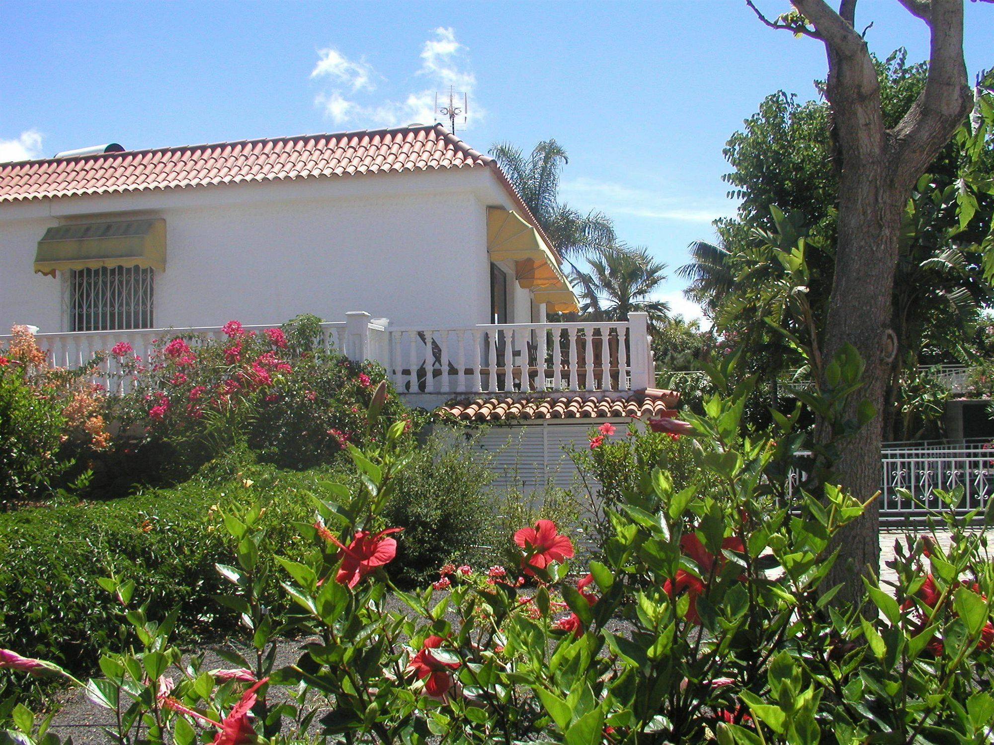 Residencial Las Norias Todoque Buitenkant foto